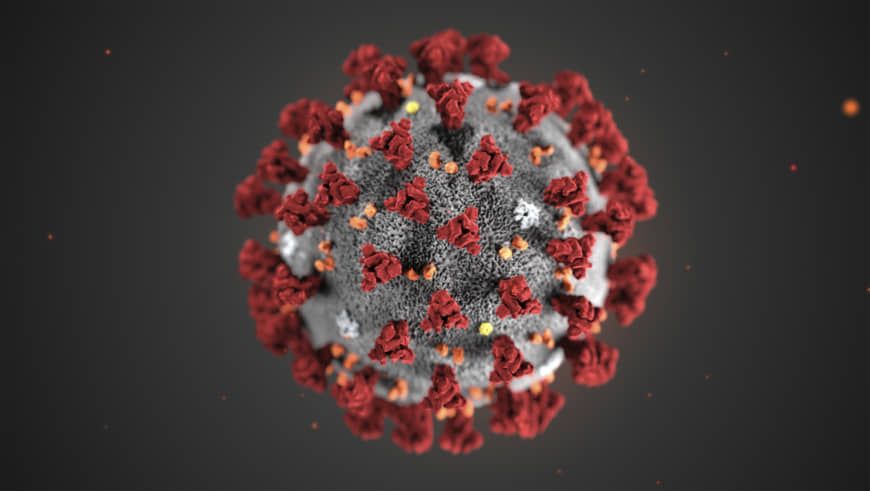 virus corona (1)